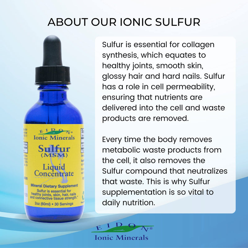 [Australia] - Eidon Ionic Minerals Liquid Sulfur Concentrate - Ionic MSM Sulfur Drops Supplement, Supports Smooth Skin & Glossy Hair, No Preservatives or Additives - 2 Oz Bottle 