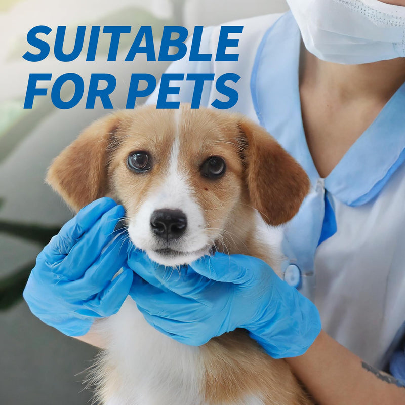 [Australia] - Basic Vinyl Medical Exam Gloves, 4 Mil Powder-Free Latex-Free Food Grade Cleaning Disposable Glove, Blue 100Pcs Blue (Large 100) 