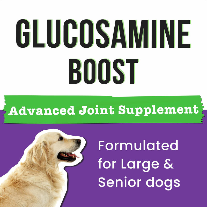 Glucosamine for Dogs - Joints Health Treats w/Omega Fish Oil - Natural Joint Pain Relief - Canine Hip and Joint Supplement w/Chondroitin + MSM + Turmeric + Calcium - 120 Beef Chews 120 Glucosamine Treats - PawsPlanet Australia
