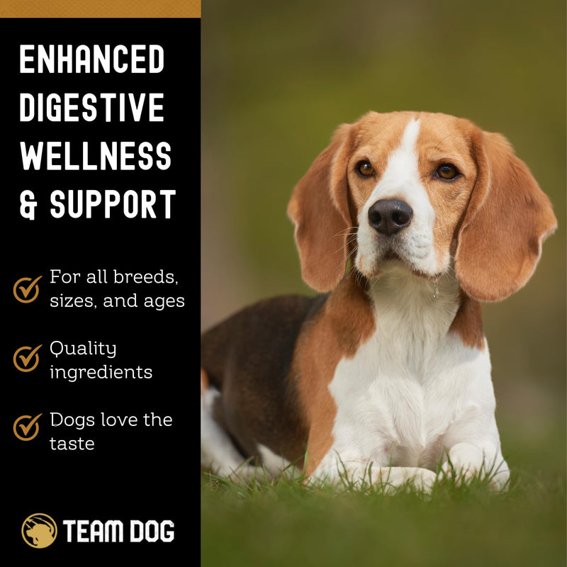 TEAM DOG Probiotic Chews for Dogs | Digestive Enzymes & Dog Probiotics for Yeast, Itchy Skin and Itchy Ears | for Allergies & Sensitive Stomachs | Promotes Digestive & Gut Health for Dogs | 120 Count - PawsPlanet Australia