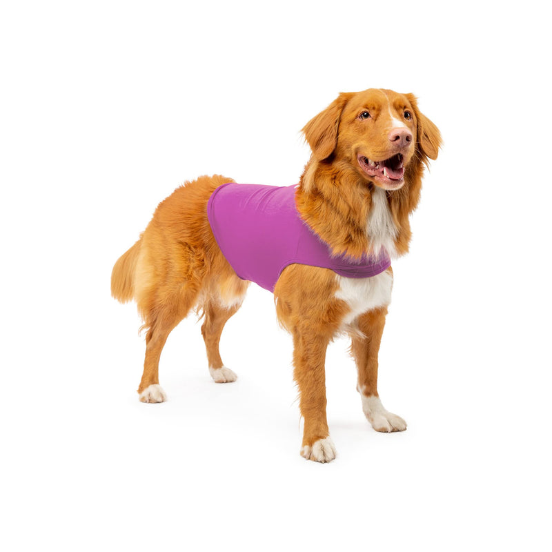 Dog Anxiety Calming Wrap, Small, Radiant Orchid - PawsPlanet Australia
