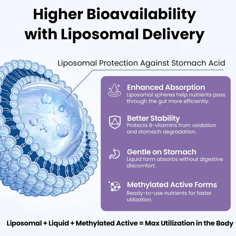 Liposomal Vitamin B Complex Liquid Sublingual B Complex Vitamins Supplement for Women Men Improved Absorption Methylated B12,B1, B2, B3, B5, B6,Folate,Biotin for Energy And Immune Support-2.0 oz 2 Fl Oz (Pack of 1)