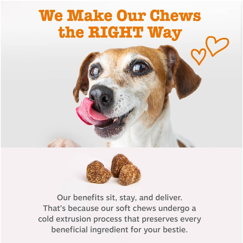 Zesty Paws Dog Multivitamin, Chewable Dog Vitamins and Supplements for Hip & Joints, Skin & Coat, Omega 3 Fish Oil for Dogs- Senior & Puppy Multivitamin- Chicken- 90ct Chicken - 8-in-1 90 Count (Pack of 1)