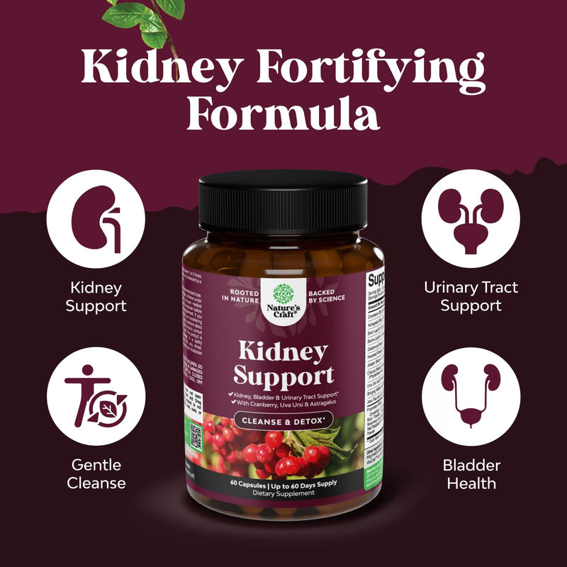 [Australia] - Advanced Kidney Support Supplement - Kidney Cleanse Detox & Repair Cranberry Extract Capsules with Uva Ursi, Stinging Nettle & Astragalus for Kidney Health - Urinary Tract Health - 60 Caps 60 Count (Pack of 1) 