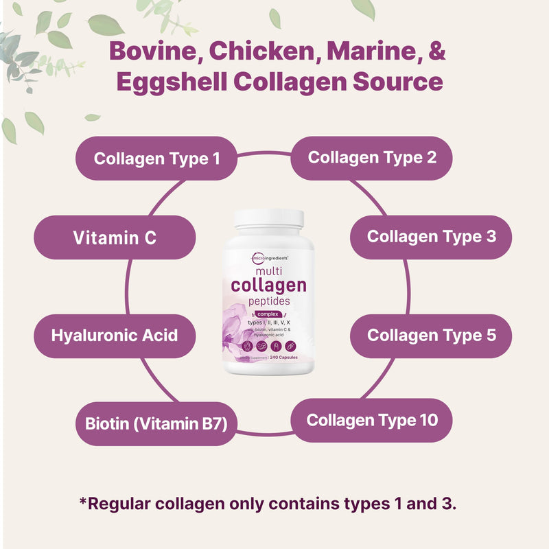 Micro Ingredients Multi Collagen Peptides Pills, 240 Capsules | For Women & Men. Type I, II, III, V, X. Hydrolyzed Collagen Supplement with Biotin, Hyaluronic Acid & Vitamin C. Filler Free. 240 Count (Pack of 1)