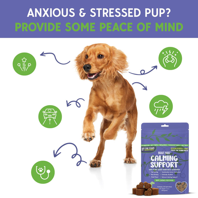 Dog Calming Chews - Anxiety Relief Treats - Calming Chews for Dogs with Natural Souroubea - Calming Treats for Dogs Help Manage Stress and Promote Relaxation, Anxiety Relief for Dogs, Made in the USA - PawsPlanet Australia