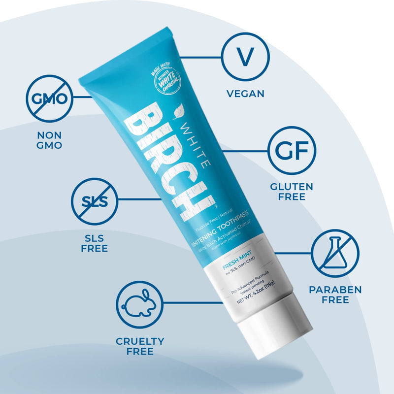 [Australia] - White Birch Activated Charcoal Toothpaste - Professional Teeth Whitening - Natural, No Fluoride Oral Care Whitening Toothpaste (1 Pack) 