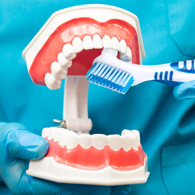 [Australia] - COMNICO denture brushes, 4 pieces denture cleaning brush, high-quality hygiene denture toothbrushes for denture care, multi-layer soft bristles denture brush for denture care 