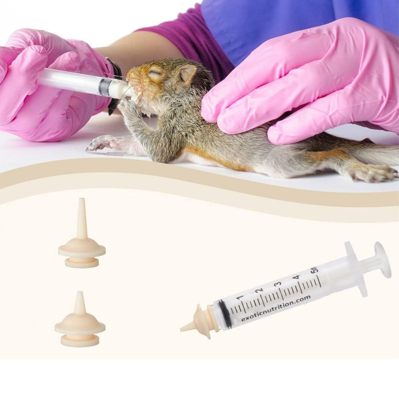 [Australia] - Exotic Nutrition Baby Squirrel Nursing Set (Basic) - Milk Replacer, Feeding Syringes Basic 