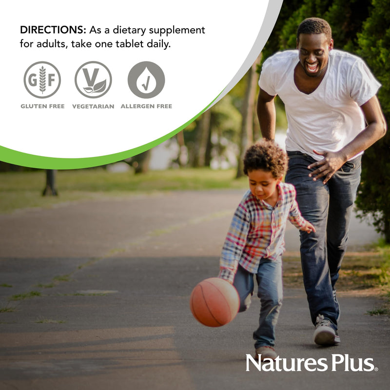 NaturesPlus Niacinamide, Sustained Release - 1000 mg, 90 Tablets - High-Potency Vitamin B3 Supplement - Vegetarian, Gluten Free - 90 Servings 90 Count (Pack of 1)