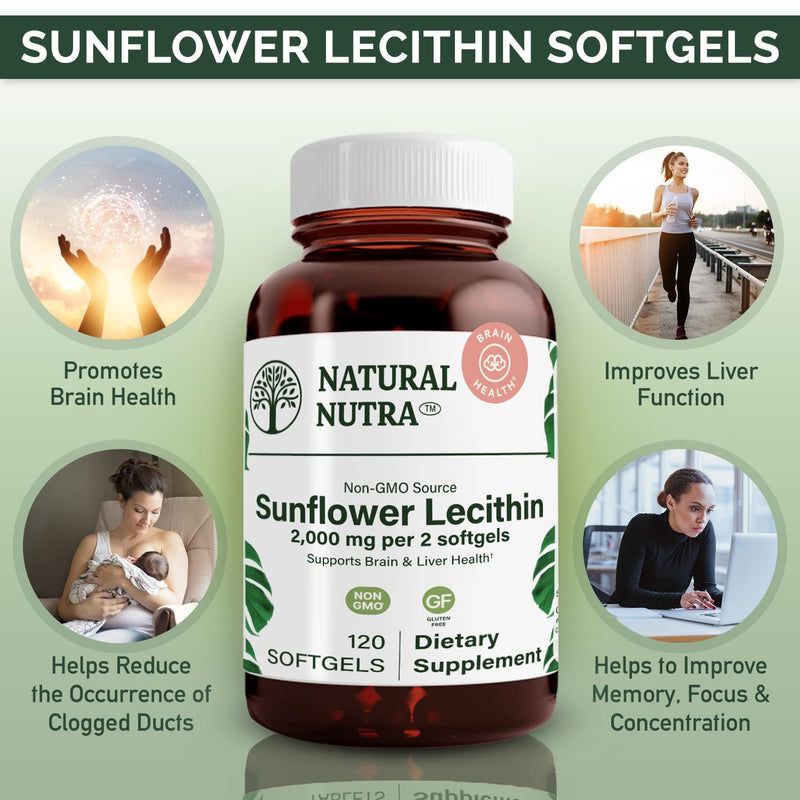 [Australia] - Natural Nutra Sunflower Lecithin Supplement 2000 mg, Helps to Improve Liver Function, Memory Booster, Promotes Brain Health and Focus and Concentration, Non-GMO, Gluten Free, 120 Softgels 120 Count (Pack of 1) 