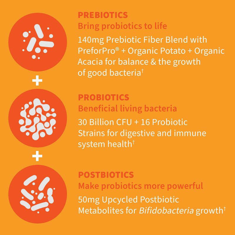 [Australia] - Garden of Life Dr Formulated Once Daily 3-in-1 Complete Probiotics, Prebiotics & Postbiotics - PRE + PRO + POSTBIOTIC Supplement for Adults’ Digestive & Immune Health, 30 Billion CFU, 30 Day Supply Unflavored 30 Count (Pack of 1) 