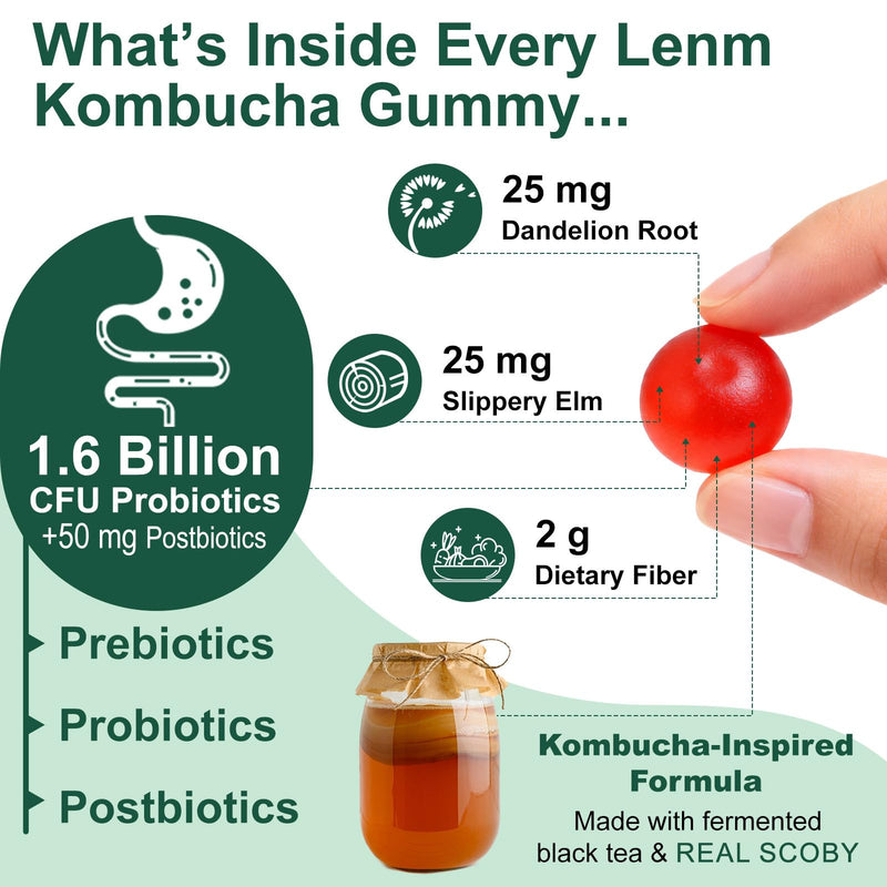 Probiotic Kombucha Gummy with Prebiotics & Postbiotics, 1.6 Billion CFU 丨Elm Bark and Dandelion Root Extracts for Gut Health & Digestive Balance, 60 Gummies Berry Flavor Chewable for Women & Men