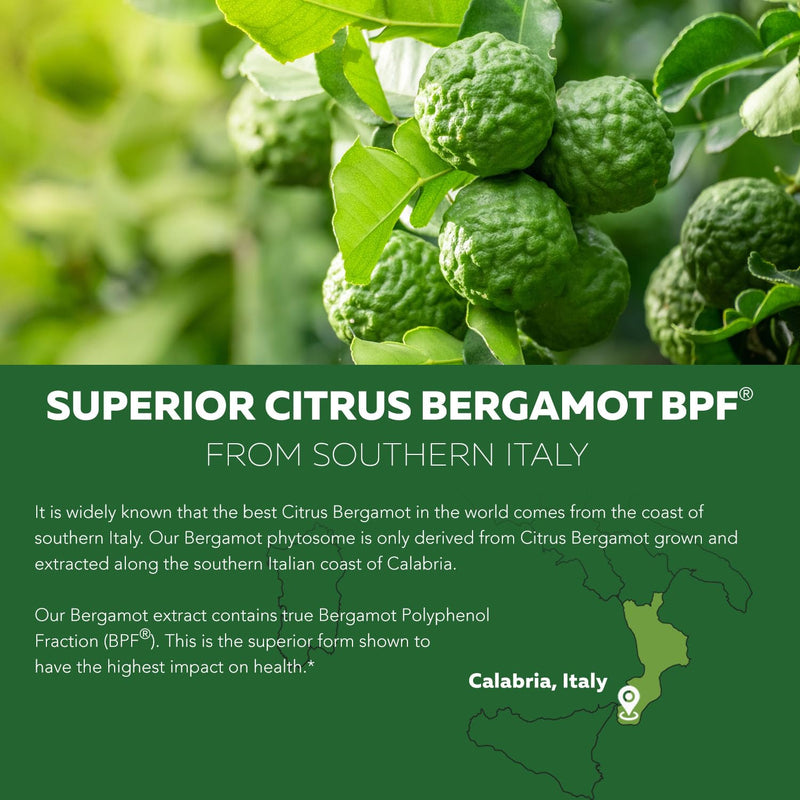 [Australia] - SoActive Bergamot: 2.5X More Effective, Italian Citrus Bergamot Phytosome - Clinically Validated | Enhanced with Grape Seed Extract with 95% PAC - Supports Cholesterol & Cardiovascular (60 Capsules) 