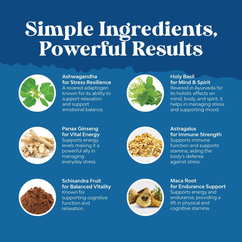 Adaptogens Supplements Blend Capsules w Ashwagandha & Rhodiola - 120 ct | Calming adaptogen support for stress, mood, energy & cortisol management; vegan, non-GMO 120 Count (Pack of 1)