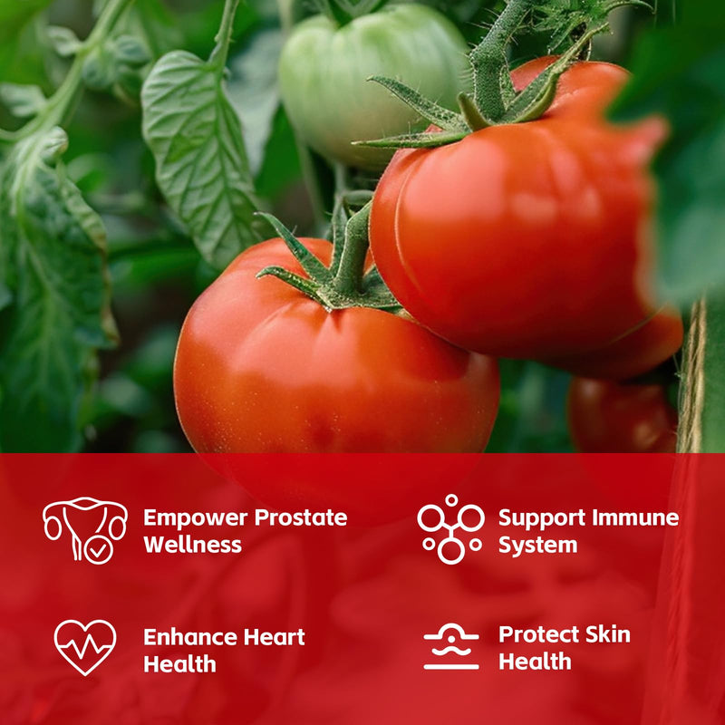[Australia] - Lycopene Supplement 100mg, Natural Tomato Extract with Reishi Mushroom 200mg, Mushroom Capsule for Immune Health, Gluten-Free, Non-GMO, Vegan, 60 Rapid Release Capsules 