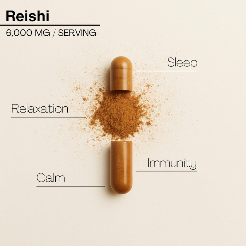 Reishi Mushroom Capsules 6000mg with Added Magnesium and Ashwagandha | Nootropic Supplement for Sleep, Relaxation, Calm | 60 Two-a-Day Vegan Capsules - Mission C Reishi, Vegan