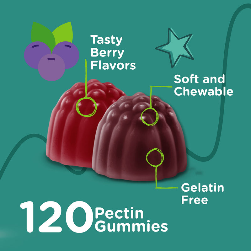 Viteey Probiotic Gummies for Kids Plus Prebiotics Fiber - 2 Billion CFUs | Digestive Health, Gut Health, Constipation Relief for Kids Support - Vegan, Gelatin Free - Chewable Probiotic Berry Flavored 120 Count (Pack of 1)