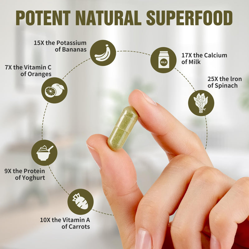 NIUSISE Moringa Powder Capsules, Organic Supplement 800mg Green Superfood from Moringa Leaf, Super Supplement Supports for Energy, Gut & Skin Health, Essential Vitamins, Vegan - 60 Capsules 60 Count (Pack of 1)