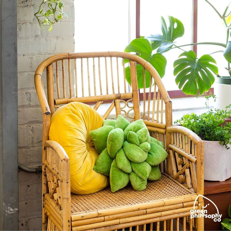 [Australia] - Green Philosophy Co. Plush Leaf Pillow - 3D Accent Succulent Leaf Throw Pillow for Couch Sofa Living Room Home Decor for Plant Lovers, Garden Lovers, Green Thumb Family & Friends Lil Pop (16 Inches) Olive Green 
