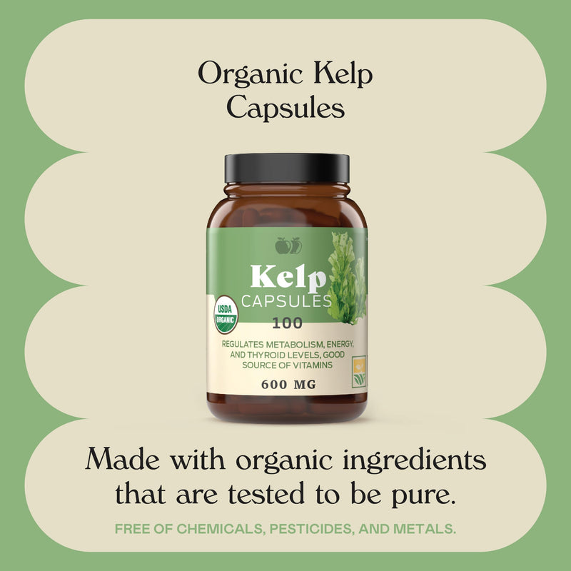 [Australia] - Raw Sea Kelp Powder Supplement - 600mg Capsules 100 Pills Powdered Raw Seaweed & Thyroid Support Supplement 