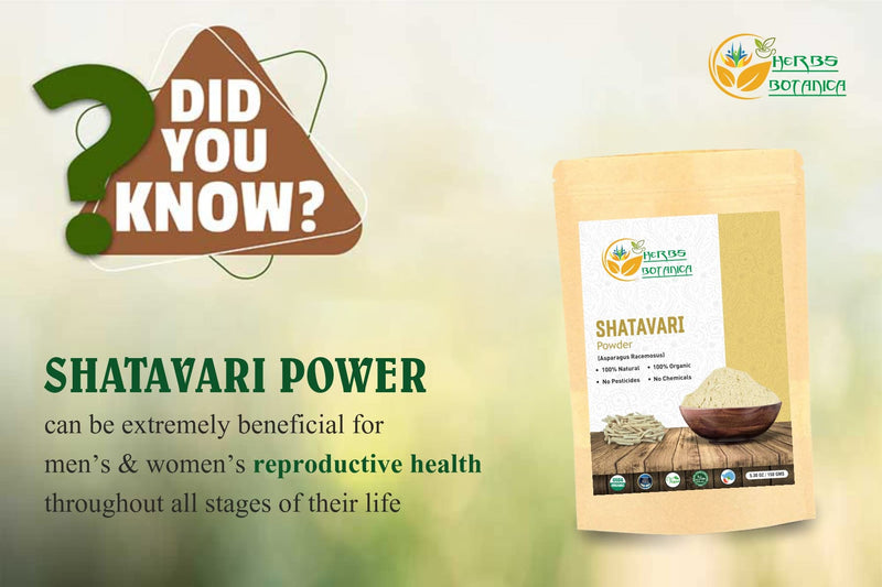 [Australia] - Shatavari Powder Organic Asparagus Racemosus for Lactation Breastfeeding Shatavri Satawar Kalpa Kalp India USDA Organic Improves Lactation | Rejuvenates Stamina | 5.3 oz / 150 gms 
