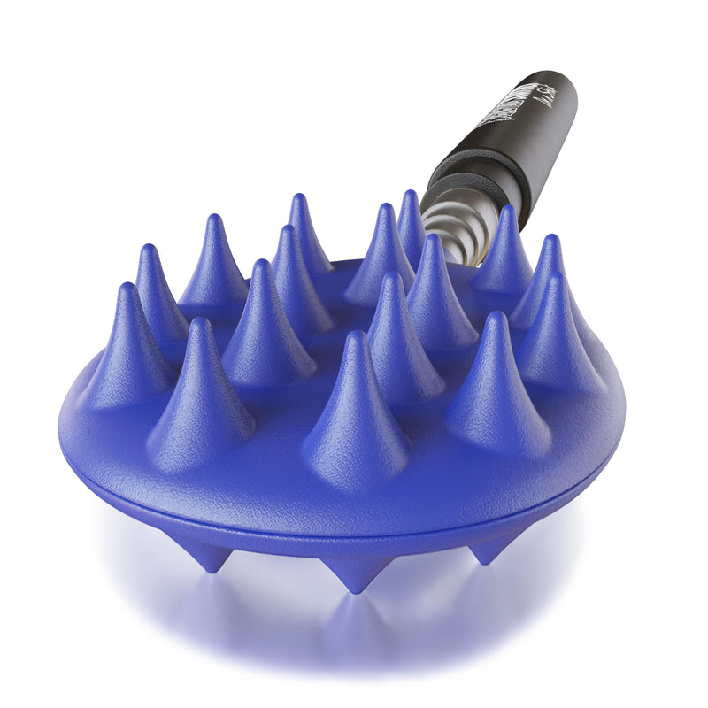 [Australia] - Cactus Scratcher Back Scratcher, Retractable Backscratchers for Men, Women & Kids, One-Hand Itch-Relief Scratchers with Long Handle, Extendable to 24.5 Inches, Original Stick, Blue Extendable Original Stick 