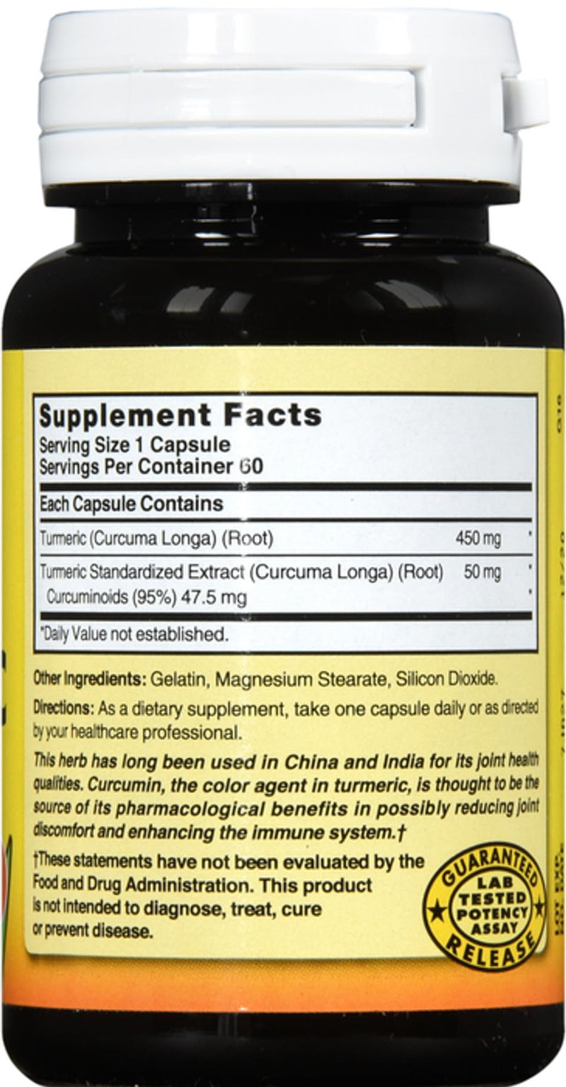 Nature's Blend Turmeric 500mg, 60 Capsules, (Pack of 2)