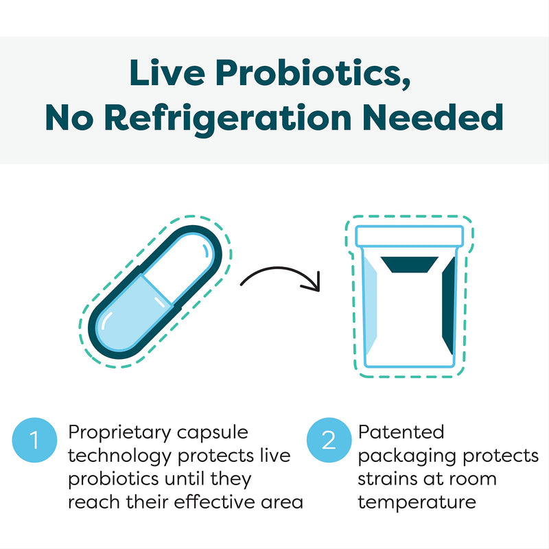 [Australia] - Klaire Labs Ther-Biotic Synbiotic Probiotic & a Prebiotic - Digestive Health & Immune Support∗ - Lactobacillus & Bifidobacterium Strains - Low-FODMAP Probiotic Supplement for Men & Women (30 Capsules) 30 Count (Pack of 1) 