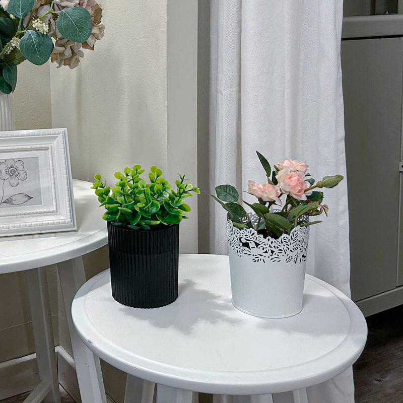 [Australia] - Denture Bath, Invisible Denture Case Designed As Artificial Eucalyptus Potted Plants, Denture Cup With Strainer For Retainer, Mouth Guard & Dentures, Perfect For Home Decoration… WHITE 