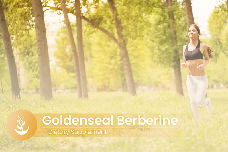 [Australia] - Pure Original Ingredients Goldenseal Berberine, Always Pure, No Additives Or Fillers, Lab Verified (100 Count) 