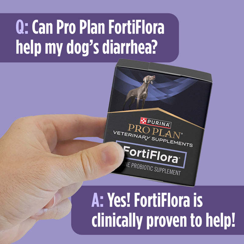 Purina Pro Plan Veterinary Supplements FortiFlora Probiotic Powder for Dogs, Daily Support for Digestive and Immune Health and Occasional Diarrhea 1.06 ounces (1 Box)