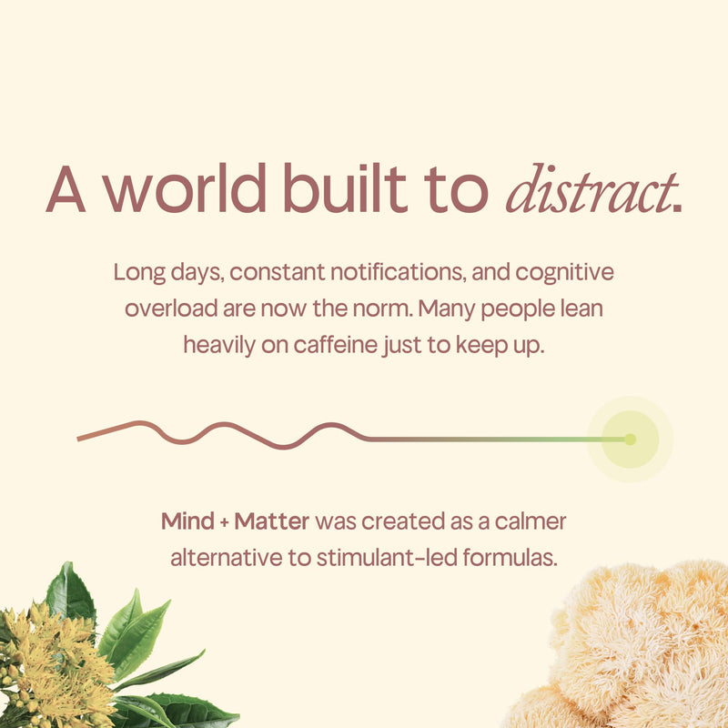 Mind+Matter® Focus Formula - Nootropic Brain Supplement - Citicoline, Lion's Mane, L-Theanine, Rhodiola & Tyrosine - with Vitamin B6 & B12, Vegan, No Added Caffeine, 60 Capsules