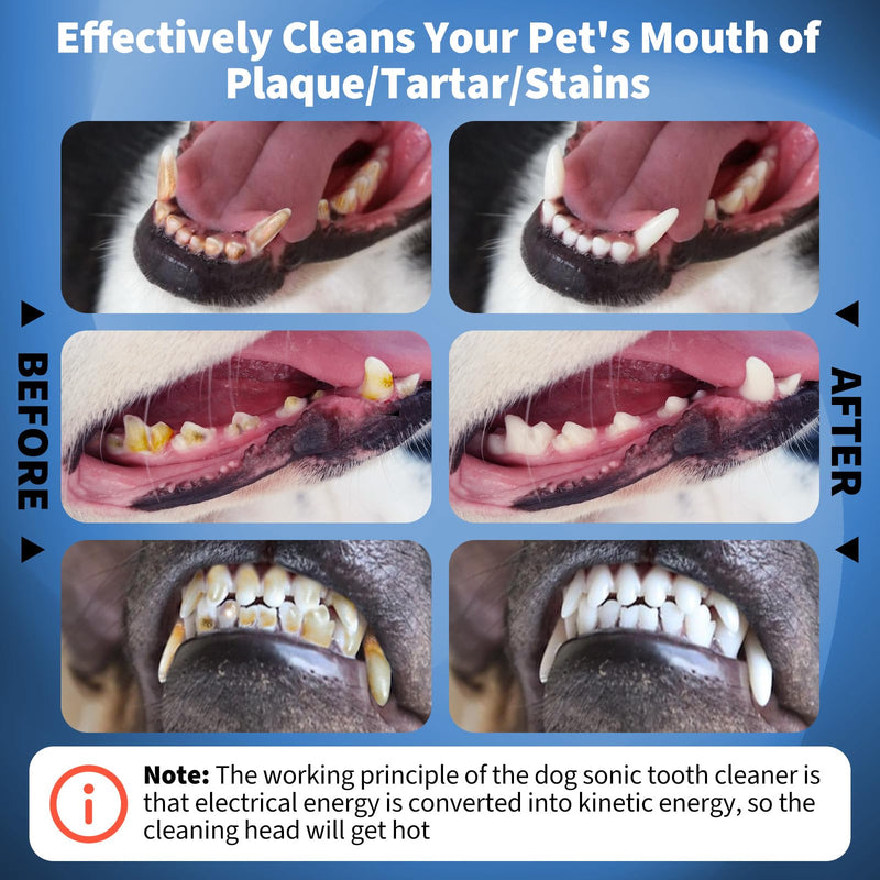[Australia] - Dog Plaque Remover - Pet Sonic Teeth Cleaner with LED Light -Teeth Cleaning Kit for Tartar and Stains -Suitable for Dogs（White） White 