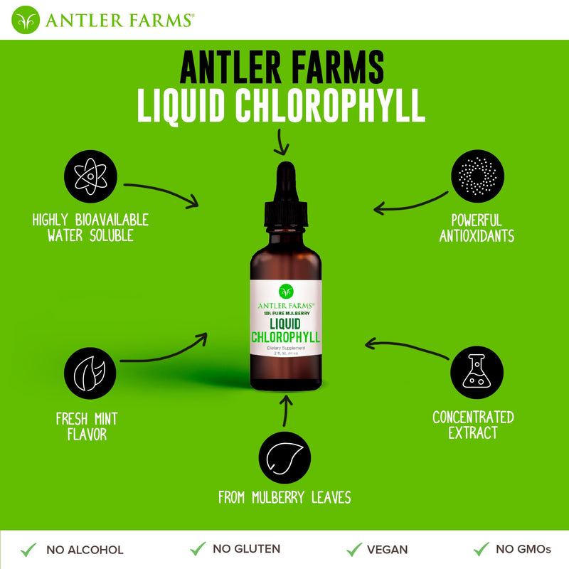 [Australia] - Antler Farms – 100% Natural 12,000 mg Liquid Chlorophyll Drops, Concentrated Extract 2-8X Stronger, 60 Servings, 2 oz - Immune Support, Energy Booster, Detox, Fresh Mint Flavor 