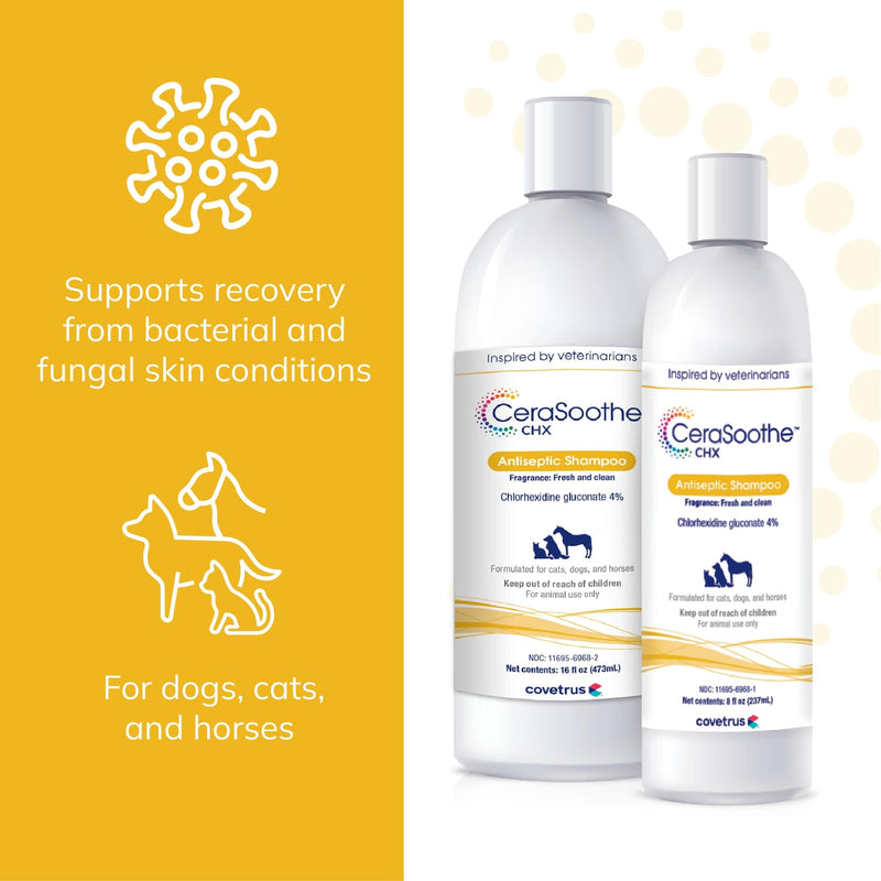 CeraSoothe® CHX Antiseptic Shampoo 16oz - PawsPlanet Australia
