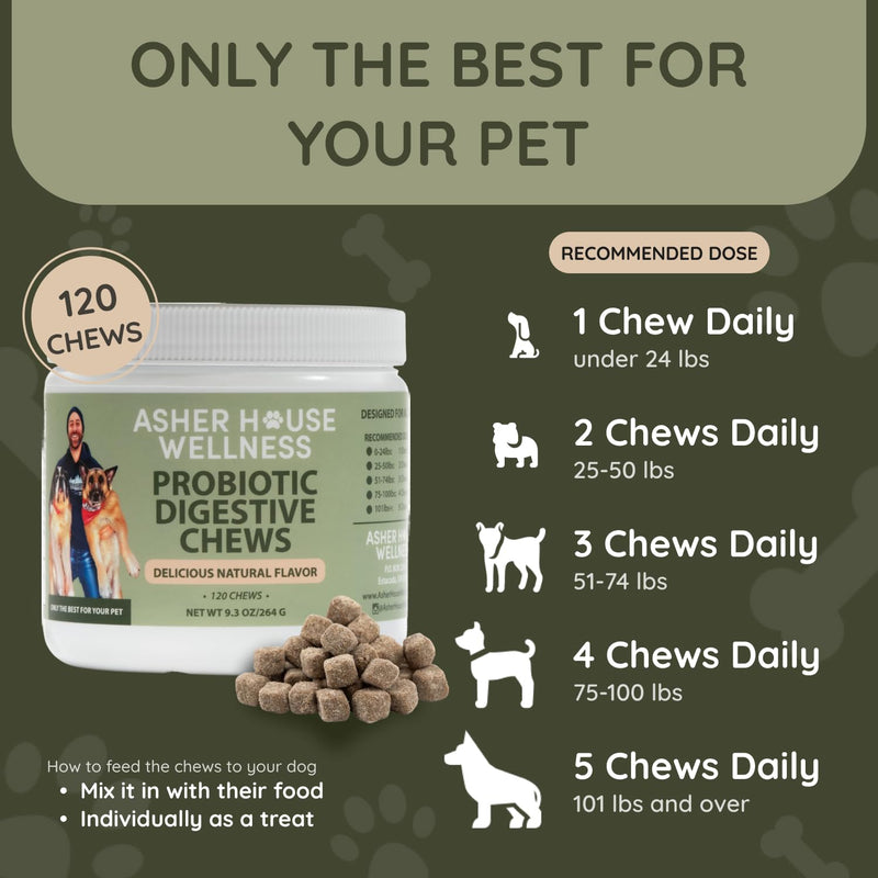 Asher House Wellness Probiotics Digestive Chew for Dogs - Dog Probiotic, Digestive Enzymes for Gut Health & Digestion - Pet Chews for Diarrhea, Upset Stomach, Allergies, Itchy Skin Relief, 120 Chews - PawsPlanet Australia