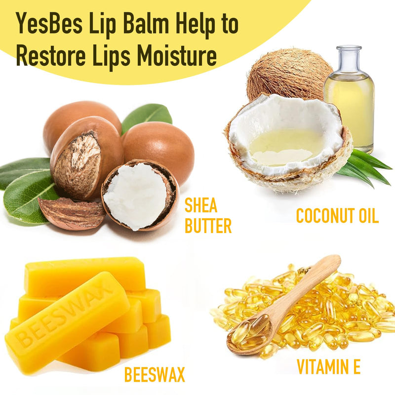 YesBes 32 Pack Lip Balm, Natural Lip Balm Bulk with Vitamin E and Coconut Oil, Moisturizing Lip Balms for Dry Cracked Lips, Lip Balms for Mothers Day Gifts Stocking Stuffers - 8 Flavors C-32P