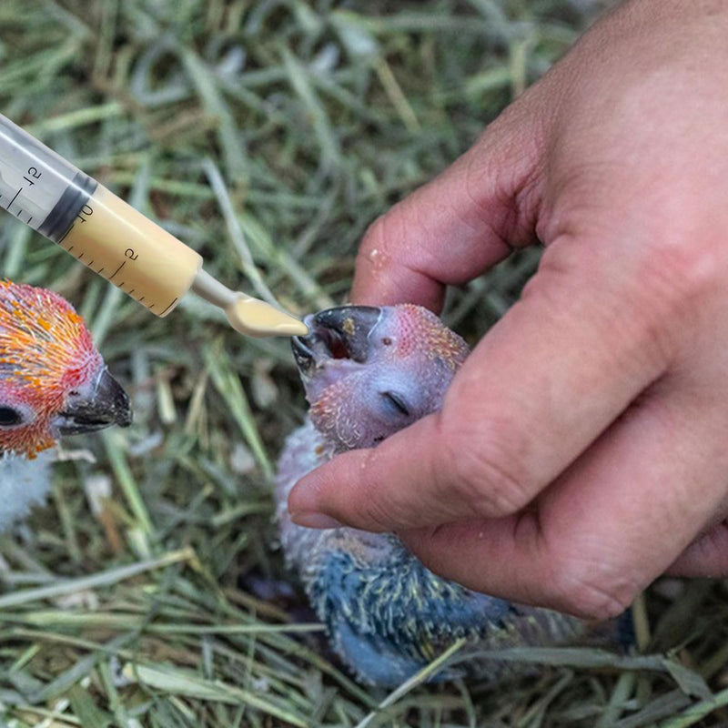 Baby Bird Feeding Syringe Set, Pet Parrot Milk Feeding Syringe with Tubes, Parrot Feeding Syringe Measuring Syringe Tools for Feeding Pets Scientific Industrial Labs… (12ml +20ml syringe+50ml Measuring Cup) 12ml +20ml syringe+50ml Measuring Cup - PawsPlanet Australia