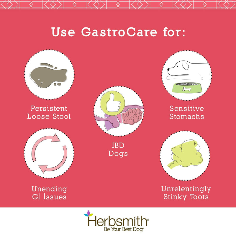 Herbsmith GastroCare - For Cats & Dogs with Sensitive Stomachs - Cat and Dog Digestive Support - Ease Canine and Feline Sensitive Stomach - 150g 150g Powder - PawsPlanet Australia