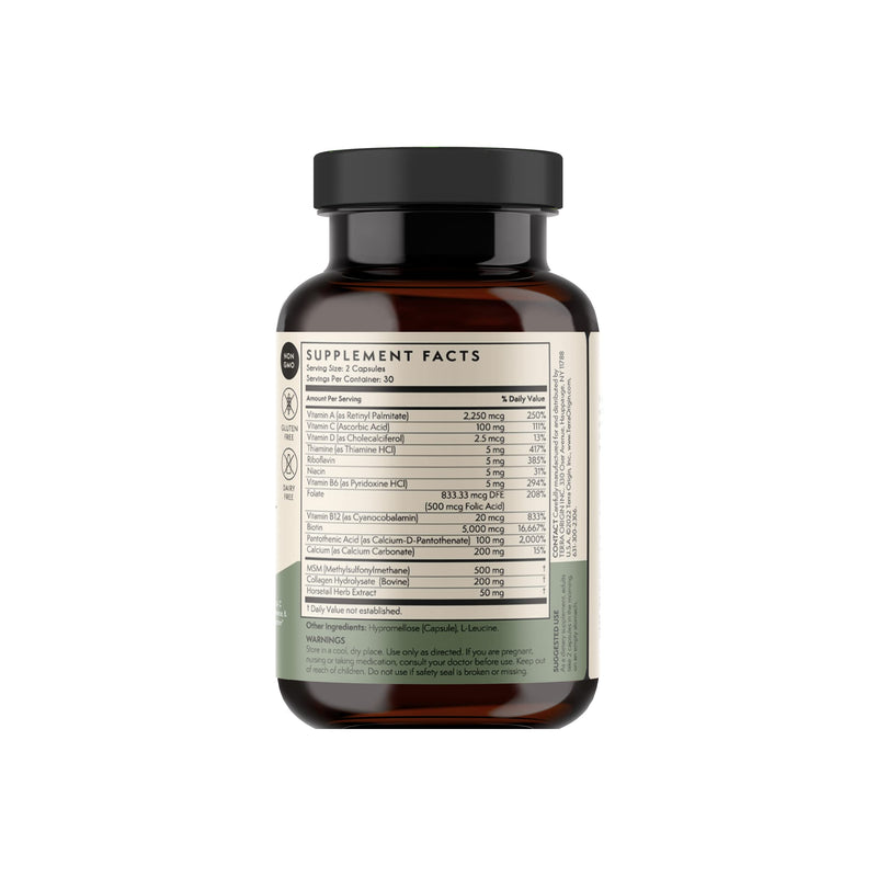 TERRA ORIGIN Healthy Hair, Skin and Nails Supplement | Collagen, Biotin, Horsetail & B-Complex | Supports Hair Strength, Skin Elasticity & Nail Growth | Vitamins for Women and Men | 60 Capsules