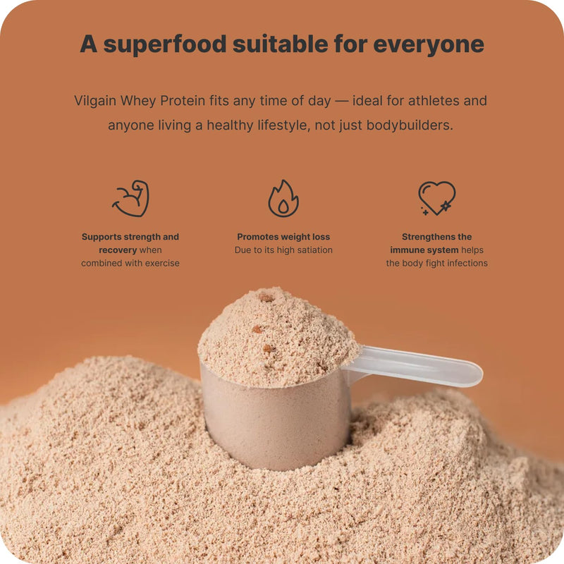 Vilgain Whey Protein Chocolate 10x30g | 23g Protein per Serving | Ultrafiltered CFM Whey Concentrate | High BCAA & Protein Content | Sweetened with Stevia