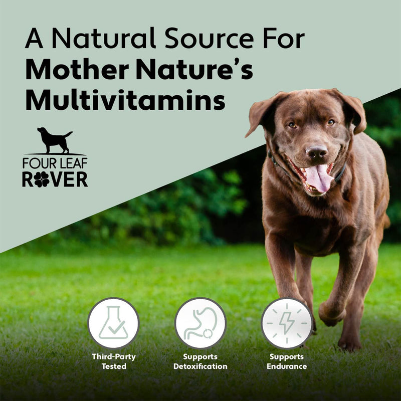 Guts & Glory - Freeze Dried Organs for Dogs - with 100% Grass-Fed New Zealand Beef - Rich in Minerals - Veterinarian Formulated - 30 Large Dog Servings - PawsPlanet Australia