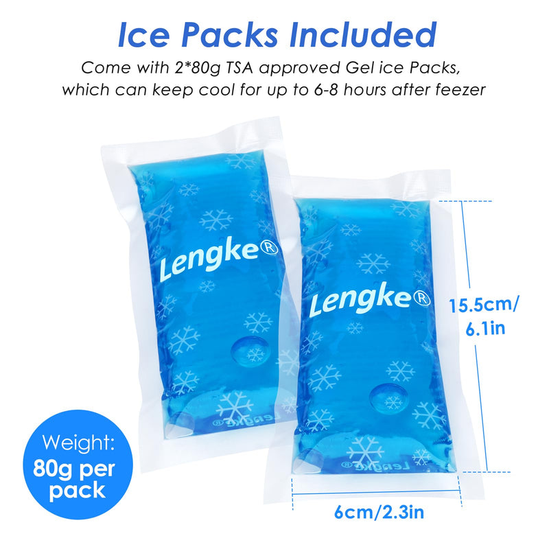 [Australia] - YOUSHARES Insulin Cooler Bag with 2 Ice Packs - 21*11.5*6CM Portable but Large Capacity Medication Case for Diabetics Keep Supplies Safe and Cold Diabetes Bag (Navy Blue) Y10-Navy Blue 