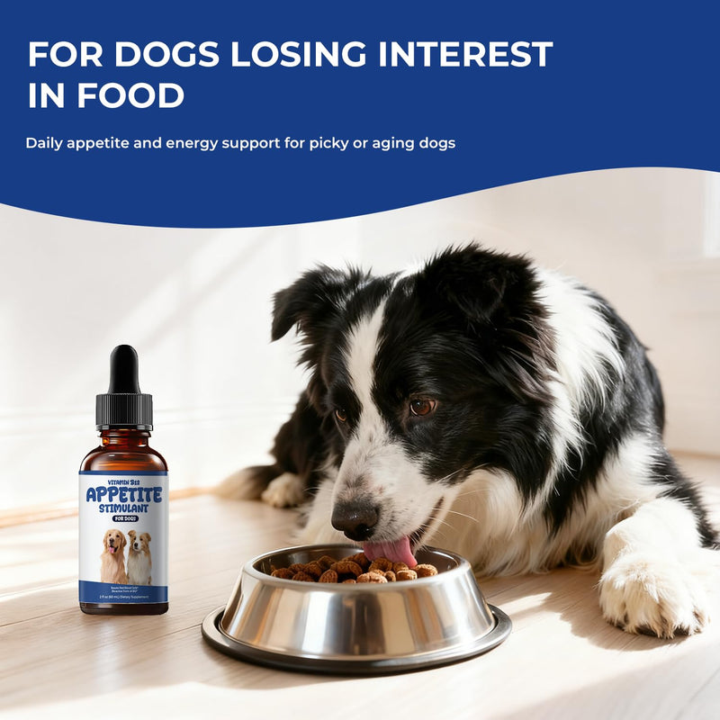 Liquid Vitamin B12 Appetite Stimulant for Dogs, Methylcobalamin Supplement | Methylcobalamin (Methyl B12) Drops to Boost Appetite, Energy, Mood & Recovery, Bacon Flavor Dog Supplement, 2 fl oz
