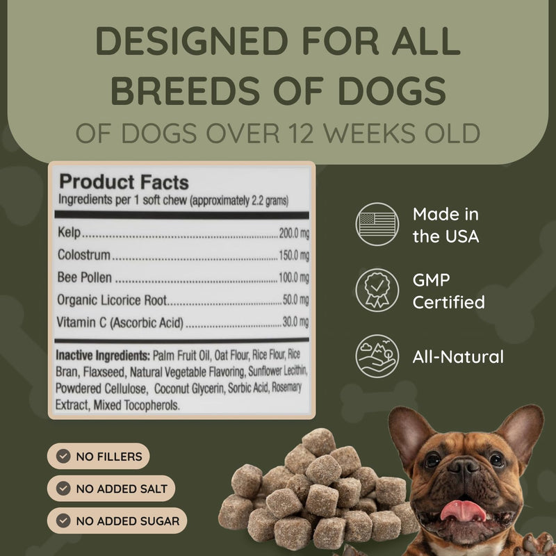 Asher House Wellness Dog Allergy Chews - All-Natural Itchy Skin Relief for Dogs with Bee Pollen, Colostrum - Licking Paw Treatment, Allergy Medicine for Dogs Over 12 Weeks, 120 Chews - PawsPlanet Australia