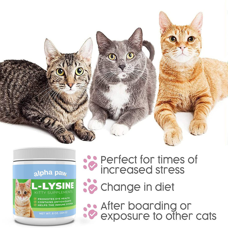 [Australia] - Alpha Paw - Human Grade for Pets - Cat Lysine Supplement - Extra Servings 5-10 Month Supply - Natural Lysine (8 Ounces/225 Grams) 8 Ounce (Pack of 1) 