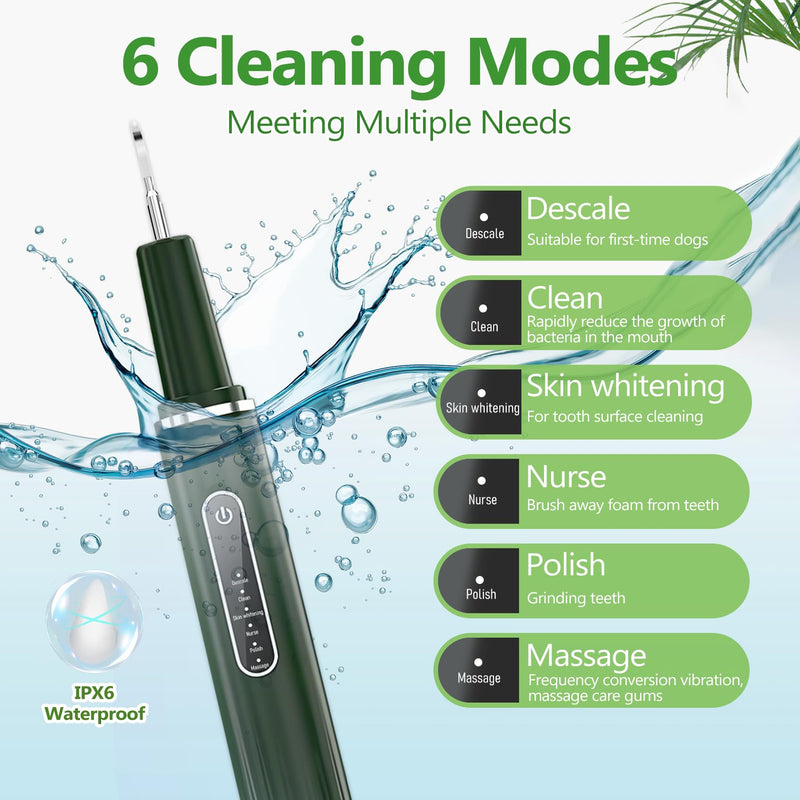 [Australia] - Plaque Remover for Teeth - Electric Toothbrush for Dogs Pet Brush Set,Electric Five Modes + 3 Cleaning Head, Plaque Remover for Teeth Stains for Dogs and Cats (Dark Green, Large) 