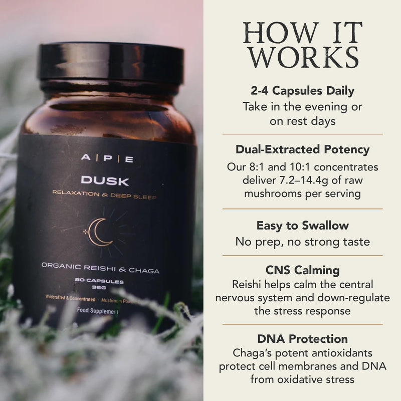 APE Nutrition Organic Reishi & Chaga Mushroom Blend Capsules - Dusk | Improved Sleep & Relaxation, Improved Recovery | UK Mushroom Supplements 100% Pure