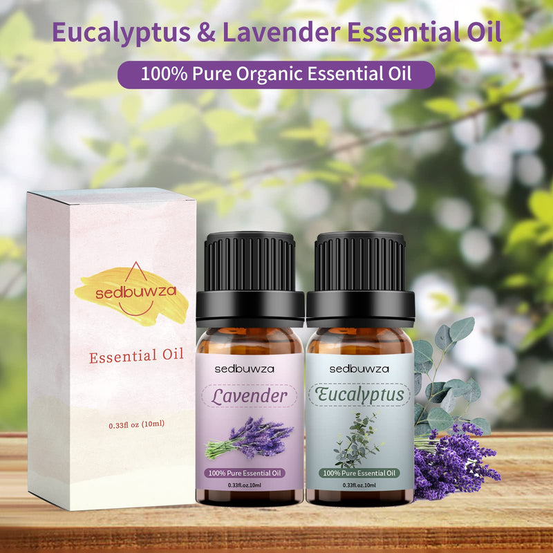 [Australia] - Sedbuwza Lavender Eucalyptus Essential Oil Set, Lavender Fragrance Oil Eucalyptus Scent Oil Set for Diffuser, Aromatherapy, Massage, Soap, Candle Making 2 x 10 ml Lavender + Eucalyptus 0.33 Fl Oz (Pack of 2) 